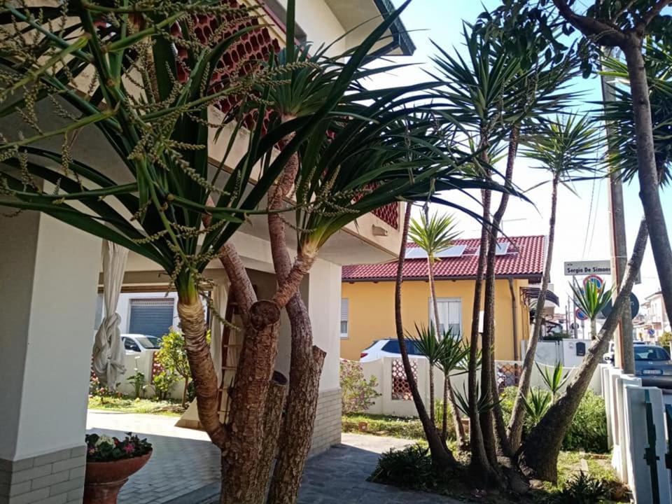 Florinda B&B Viareggio Zewnętrze zdjęcie