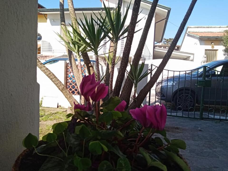 Florinda B&B Viareggio Zewnętrze zdjęcie